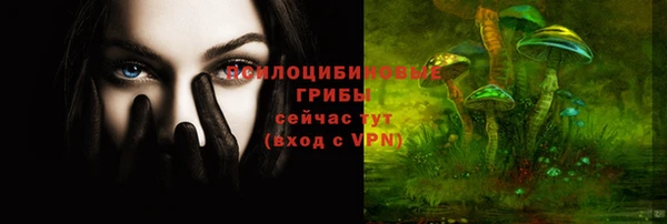 альфа пвп Инта
